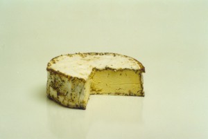 Photograph of Chanteraine Poivre