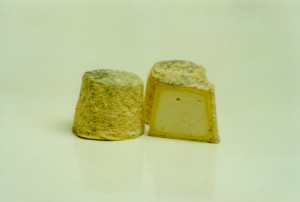 Photograph of Cabri