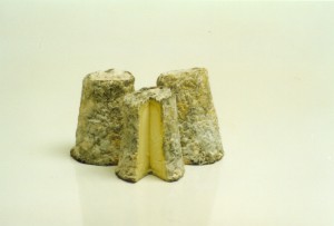 Photograph of Chabichou du Poitou