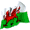 Made in Wales.