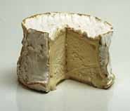 Photograph of a Chaource cheese