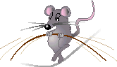 Picture of a mouse on a wire