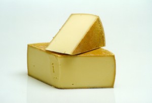 Photograph of Appenzeller